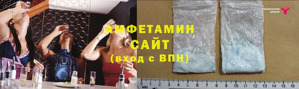 гашик Михайловск