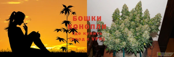 MESCALINE Мурманск