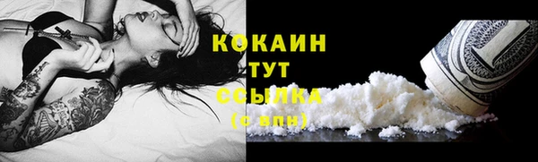гашик Михайловск