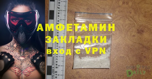гашик Михайловск