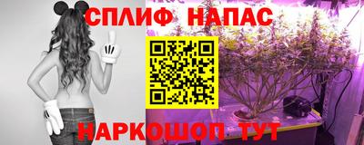 прущая мука Гатчина