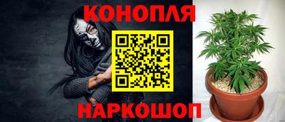 прущая мука Гатчина