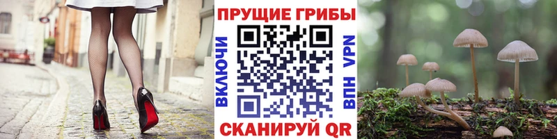 сколько стоит  Камышин  гидра ТОР  Псилоцибиновые грибы мухоморы 