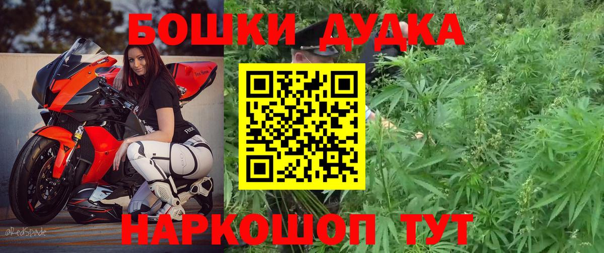 Конопля план  Вход с VPN  Камышин  Бошки марихуана LSD WEED  Бошки Шишки семена 